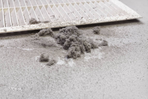 Best Emergency Air Duct Cleaning  in Charlestown, IN